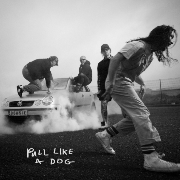 THE SCRATCH land at #7 with Pull Like A Dog!