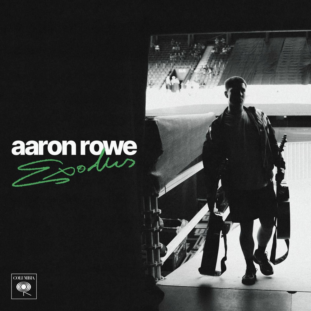 LOSE LOSE by AARON ROWE