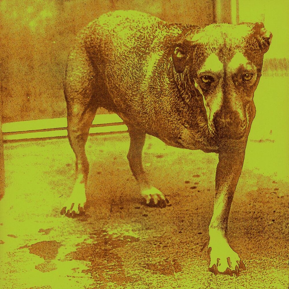 ALICE IN CHAINS by ALICE IN CHAINS