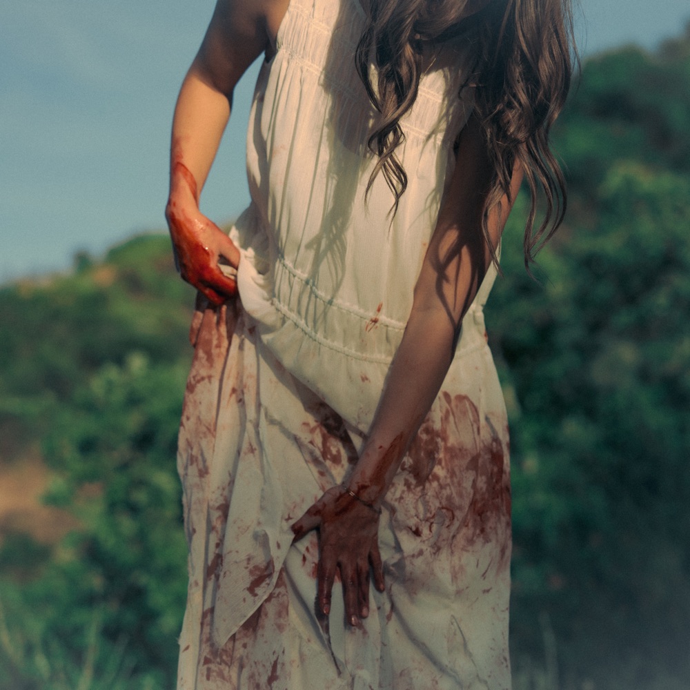 BLOODSTREAM by ALYSSA GRACE