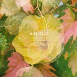 SOCRATES SMILED by AMBLE