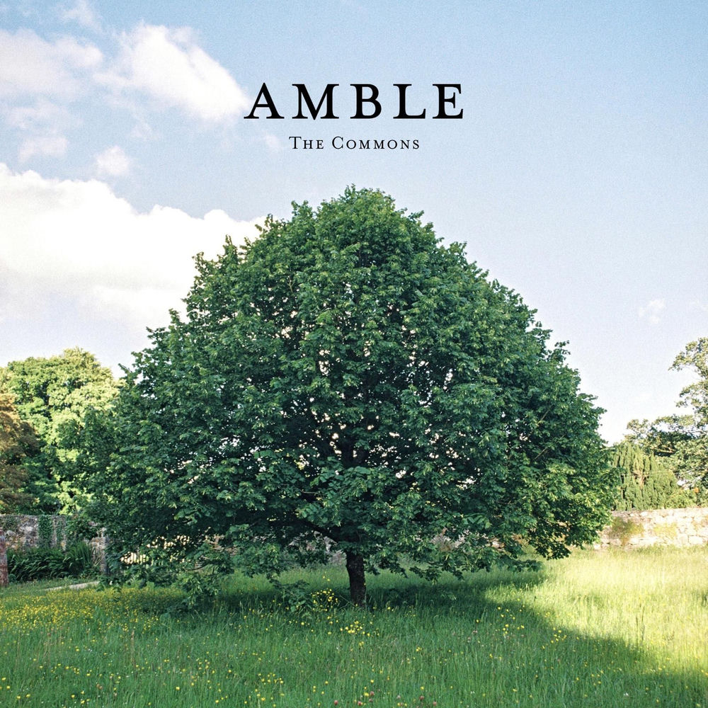 THOUGHTS FLOOD BACK TO YOU by AMBLE