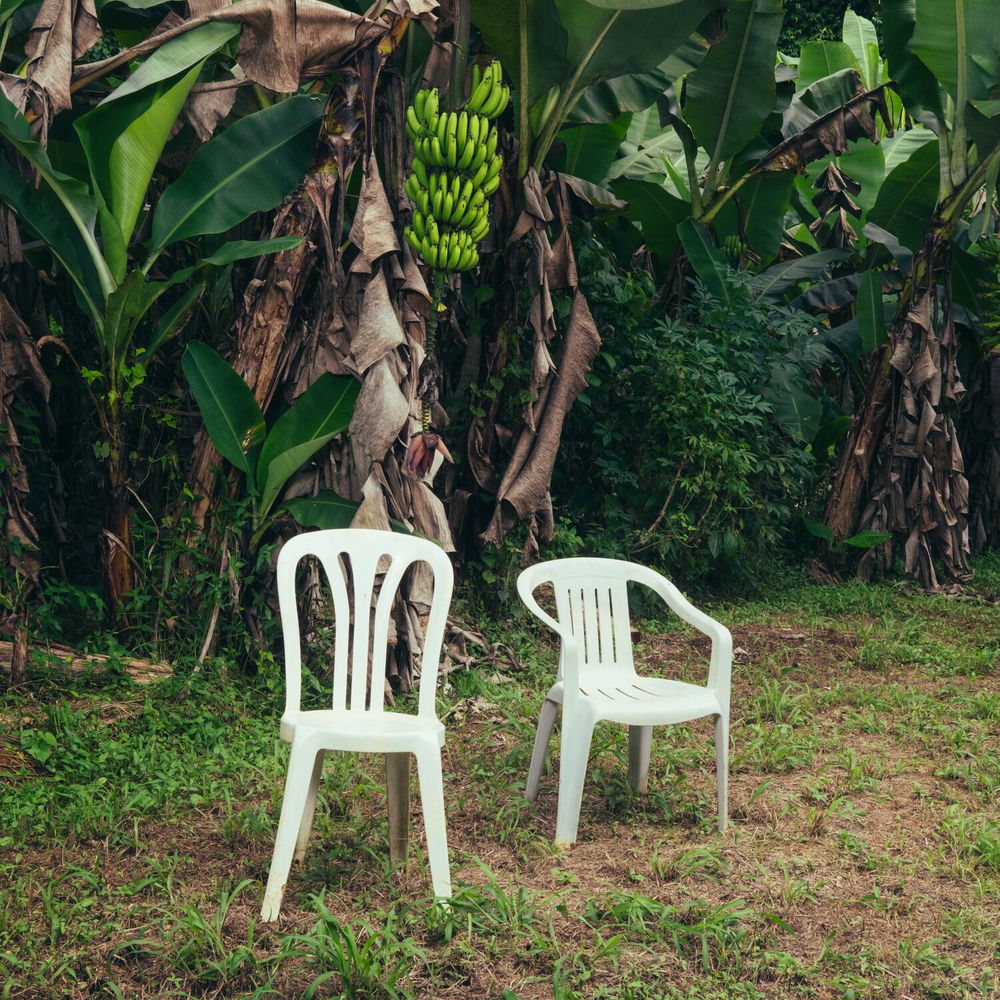 NUEVAYOL by BAD BUNNY