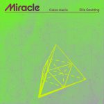 MIRACLE by CALVIN HARRIS/ELLIE GOULDING