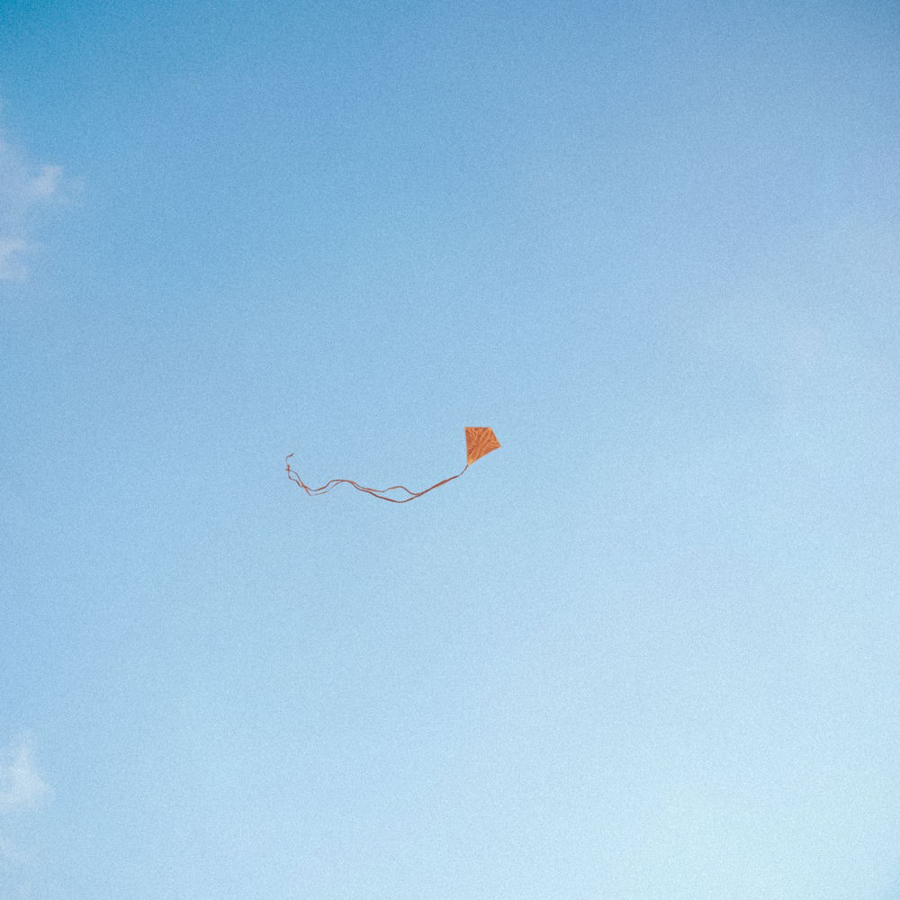 LOST FOUND & FORGOTTEN by CHRIS STUSSY