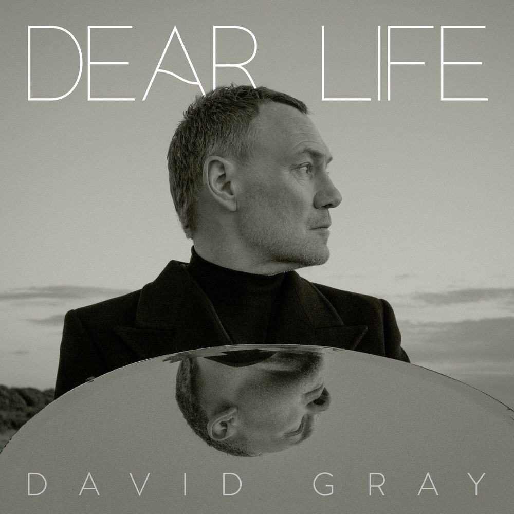 DEAR LIFE by DAVID GRAY