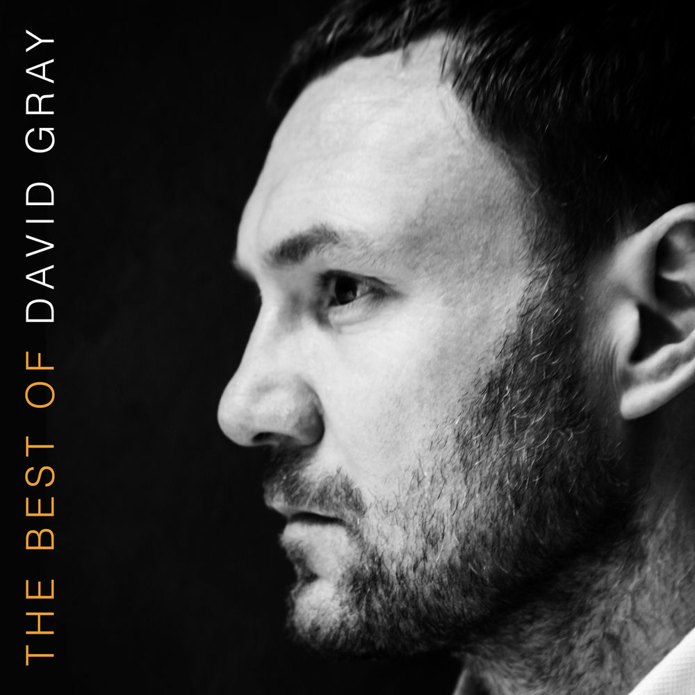 THE BEST OF by DAVID GRAY