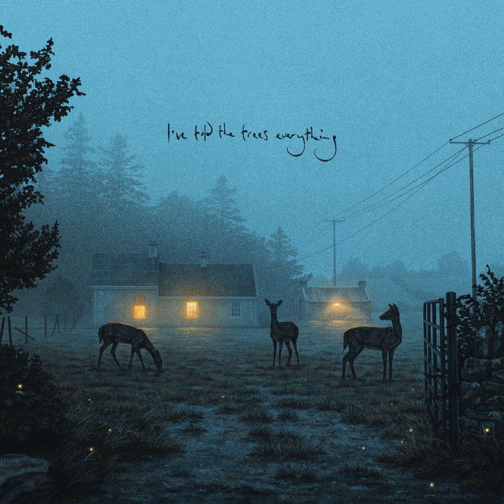 SUNDAY by DERMOT KENNEDY