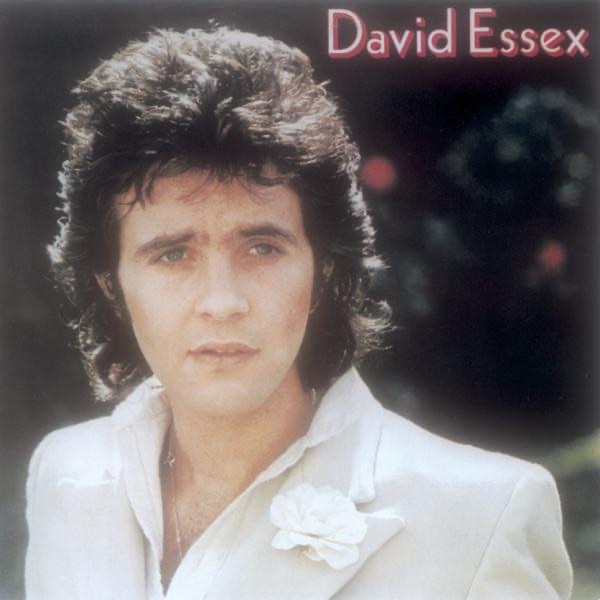 Gonna Make You A Star by David Essex