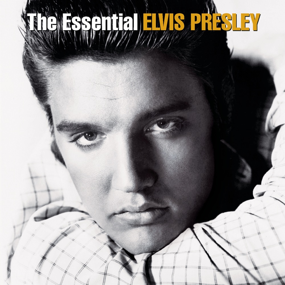 A Little Less Conversation by Elvis Presley Vs Jxl