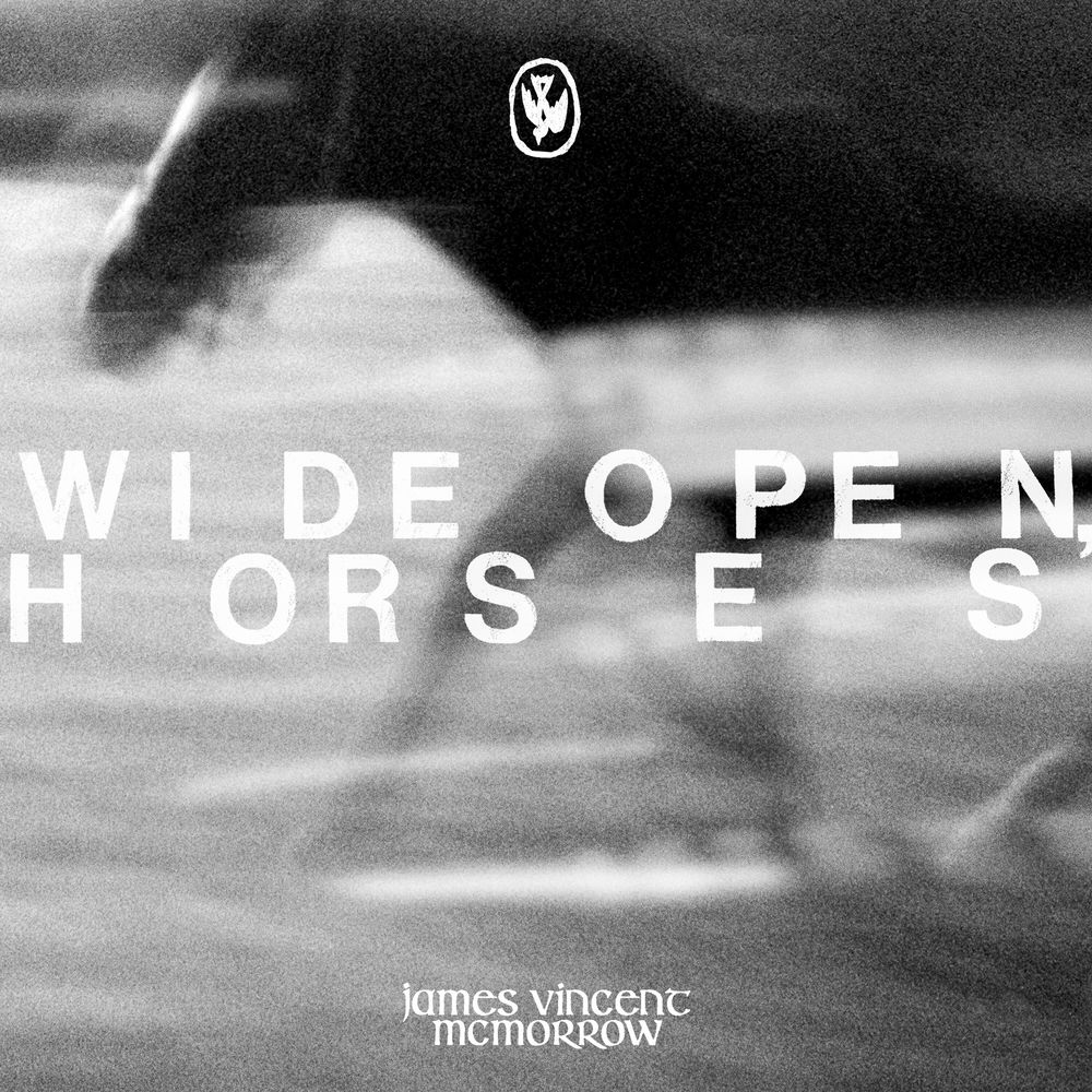 WIDE OPEN HORSES by JAMES VINCENT MCMORROW