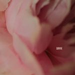 SURVIVE by LEWIS CAPALDI
