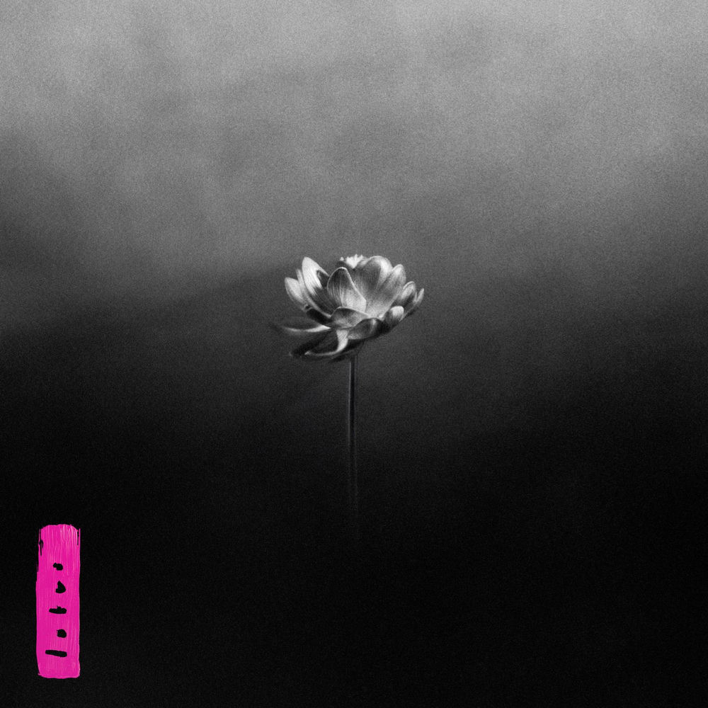 LOTUS by LITTLE SIMZ