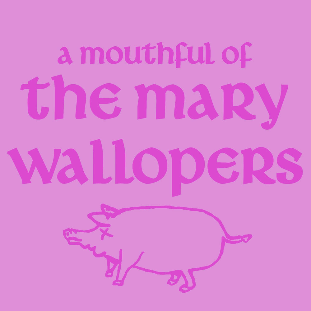 A MOUTHFUL OF THE by MARY WALLOPERS