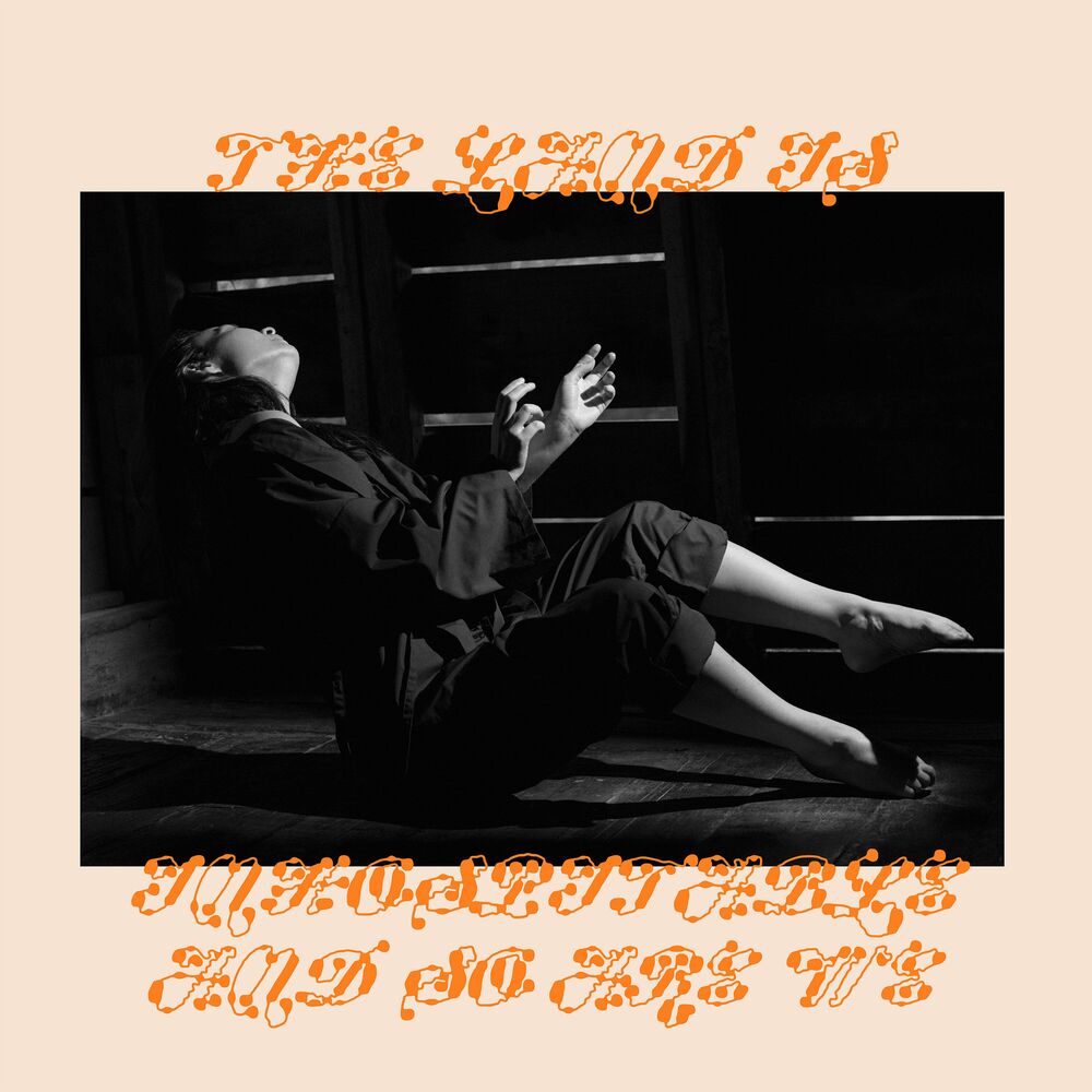 MY LOVE MINE ALL MINE by MITSKI