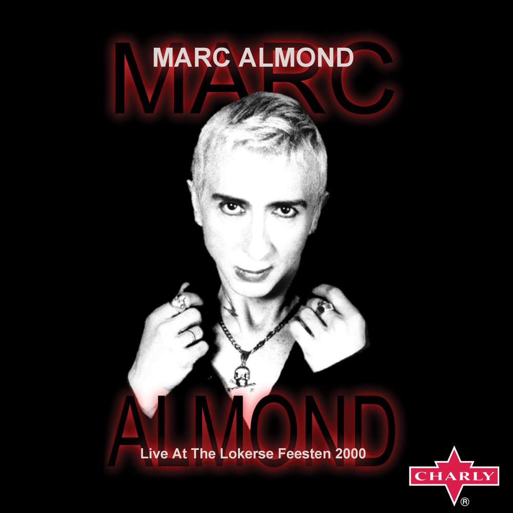 Something's Gotten Hold of My Heart by Marc Almond featuring Gene Pitney