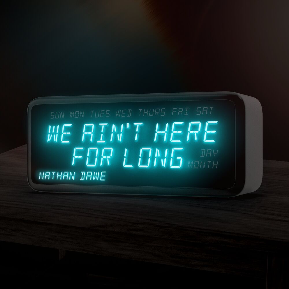 WE AIN'T HERE FOR LONG by NATHAN DAWE