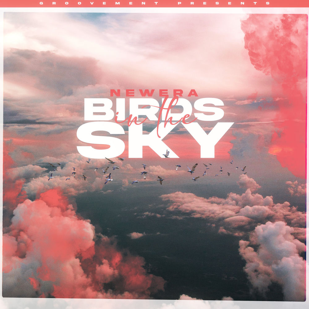 BIRDS IN THE SKY by NEWERA