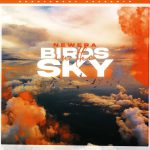 BIRDS IN THE SKY by NEWERA & JAMES DOYLE
