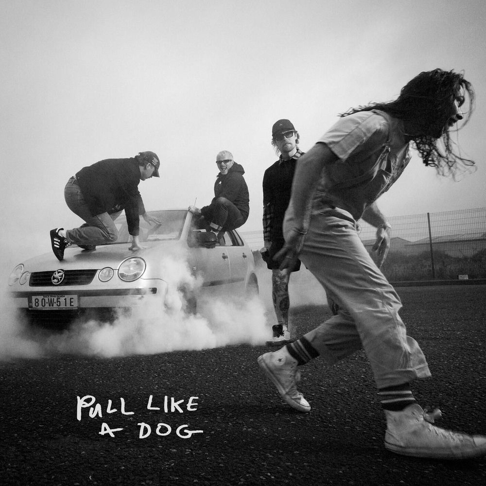 PULL LIKE A DOG by SCRATCH