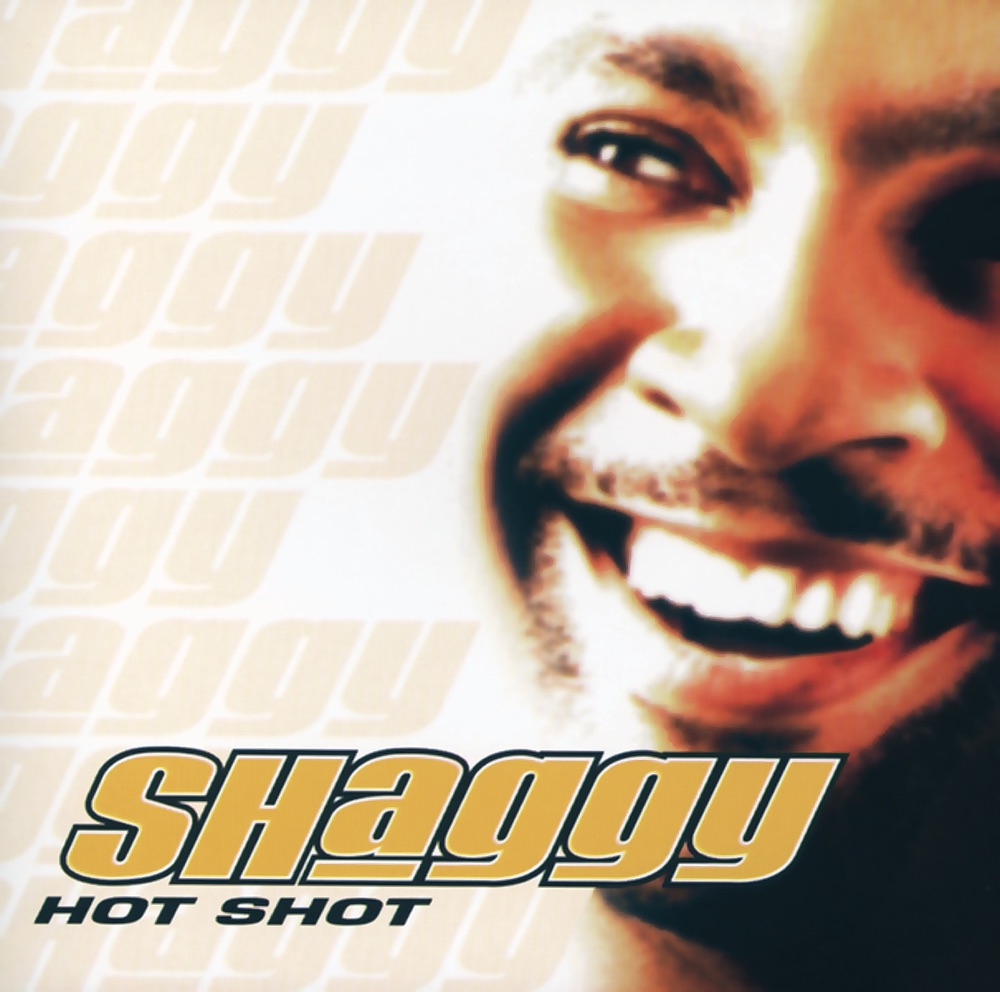 Angel by Shaggy featuring Rayvon
