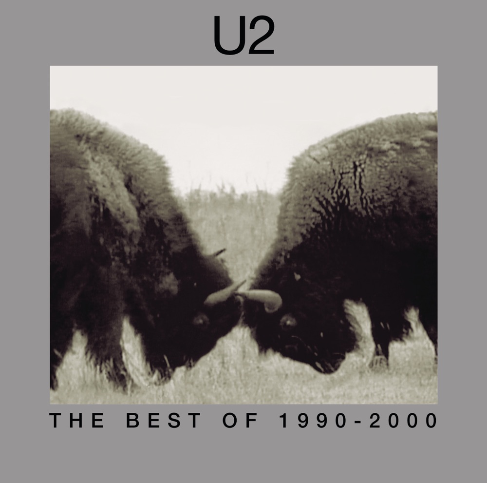 Hold Me, Thrill Me, Kiss Me, Kill Me by U2