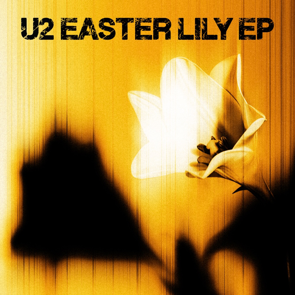 IN A LIFE by U2