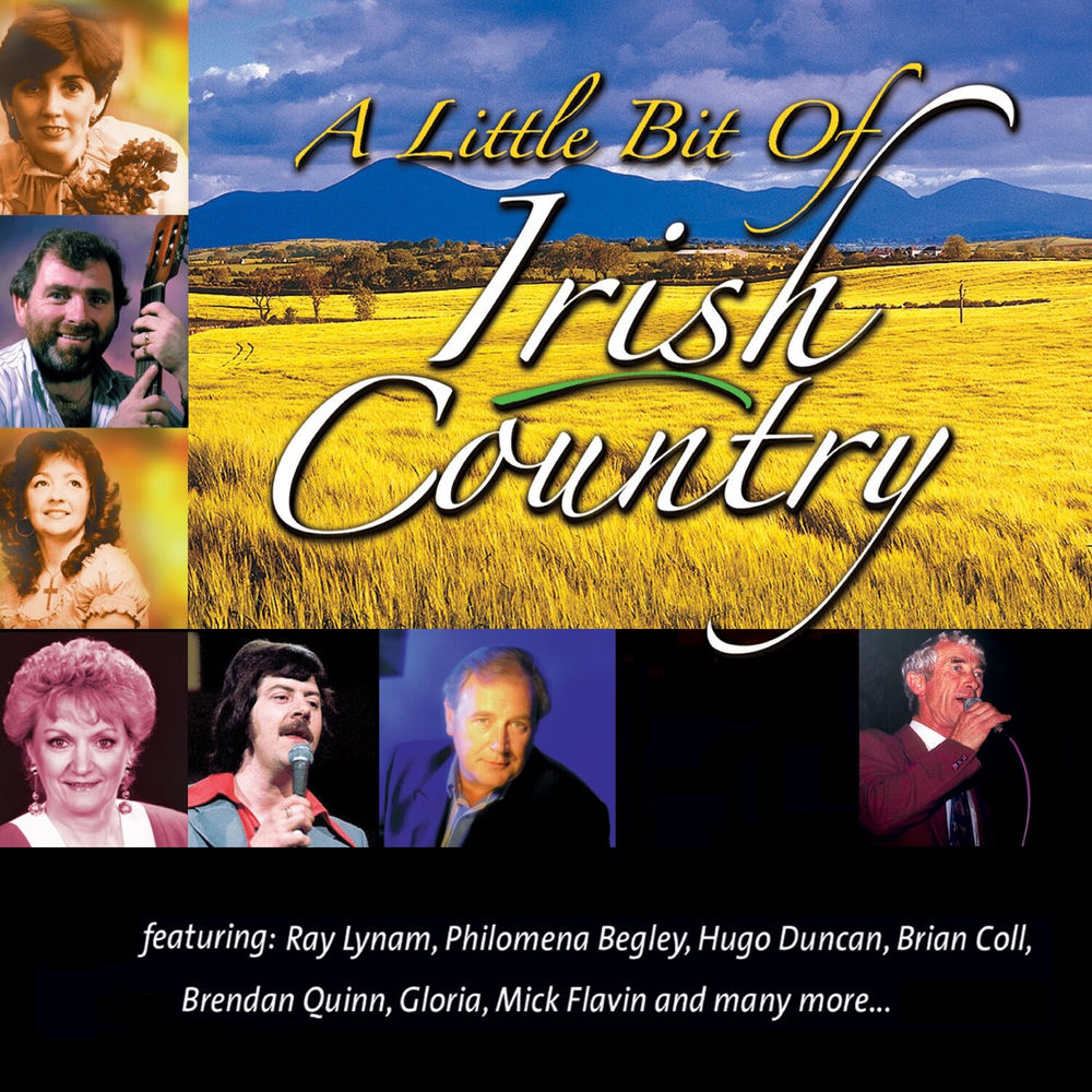 A LITTLE BIT OF IRISH COUNTRY by VARIOUS ARTISTS