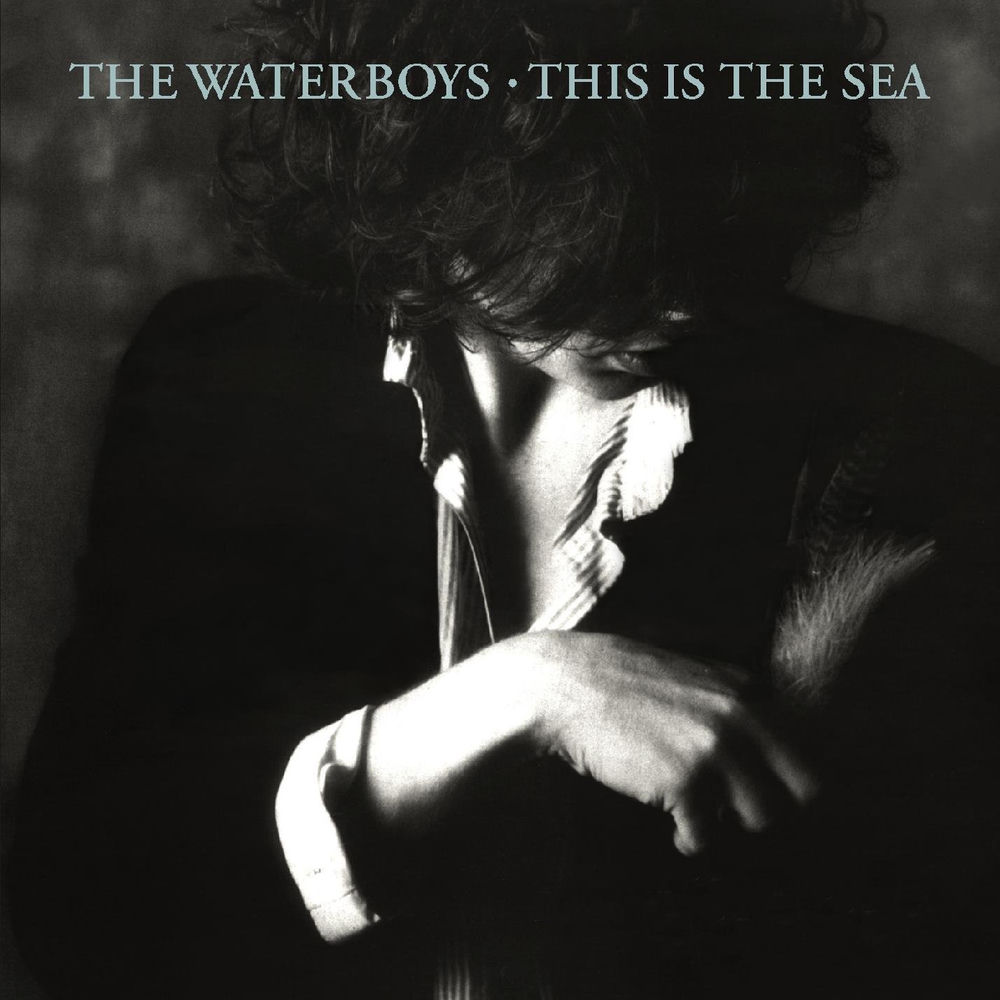 THIS IS THE SEA by WATERBOYS