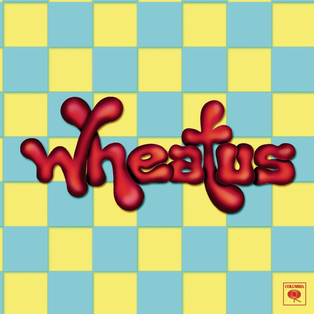 TEENAGE DIRTBAG by WHEATUS