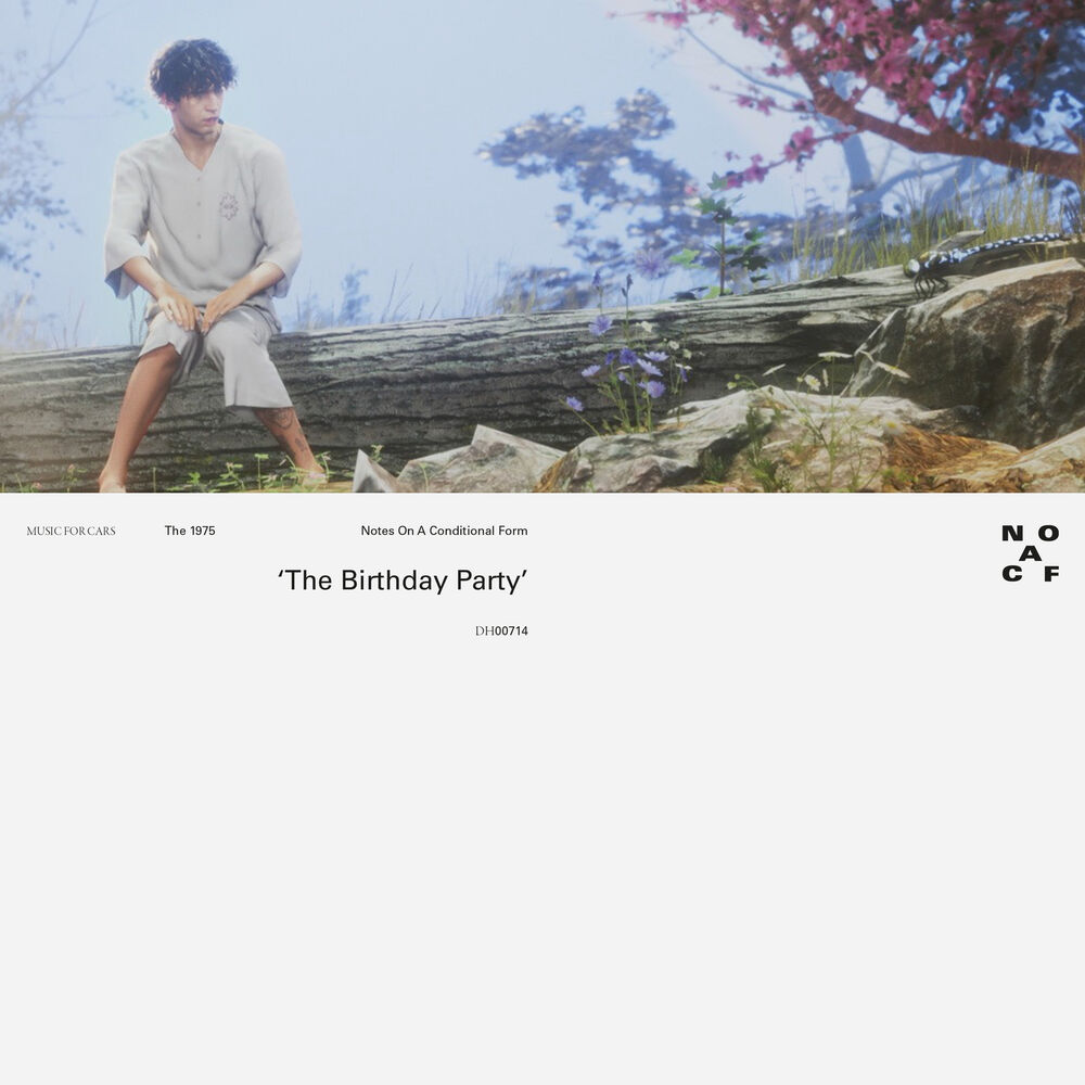 THE BIRTHDAY PARTY by 1975