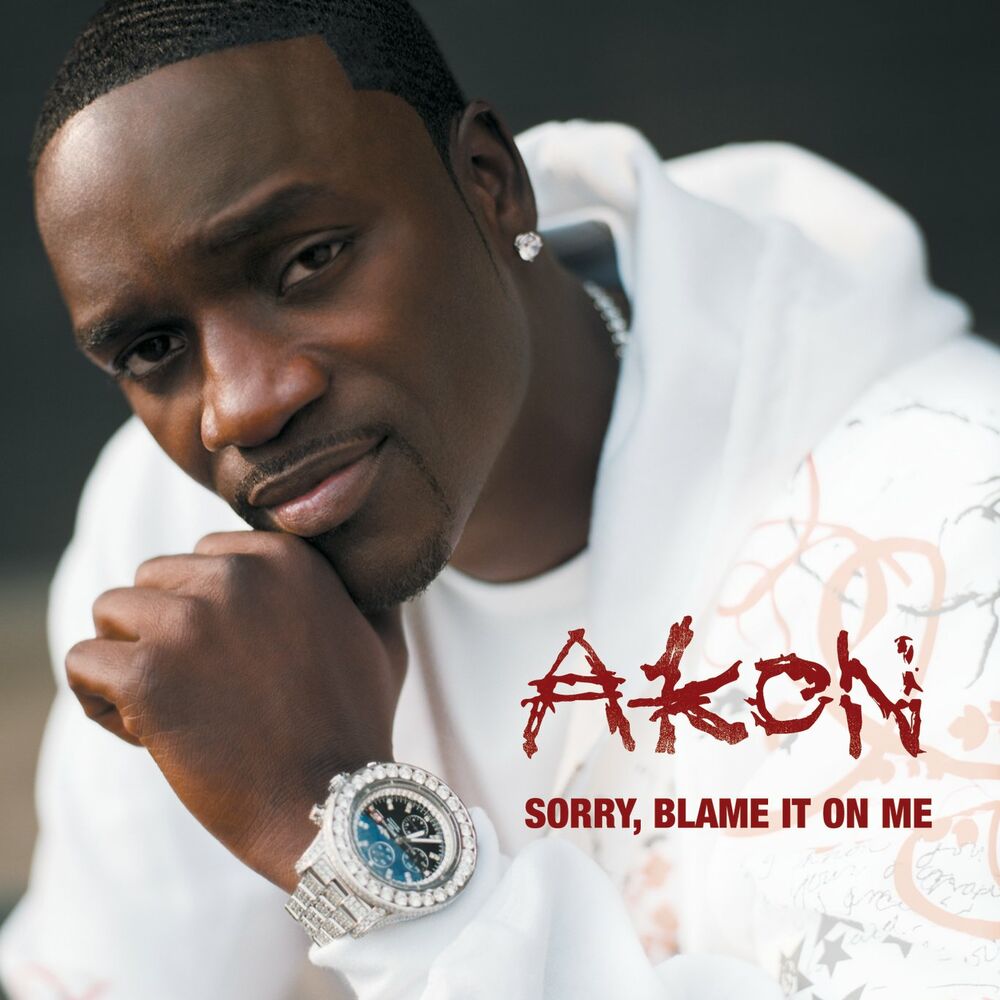 SORRY, BLAME IT ON ME by Akon