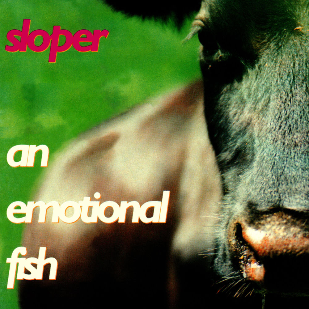 Time Is On The Wall by An Emotional Fish