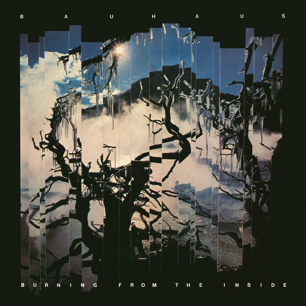She'S In Parties by Bauhaus