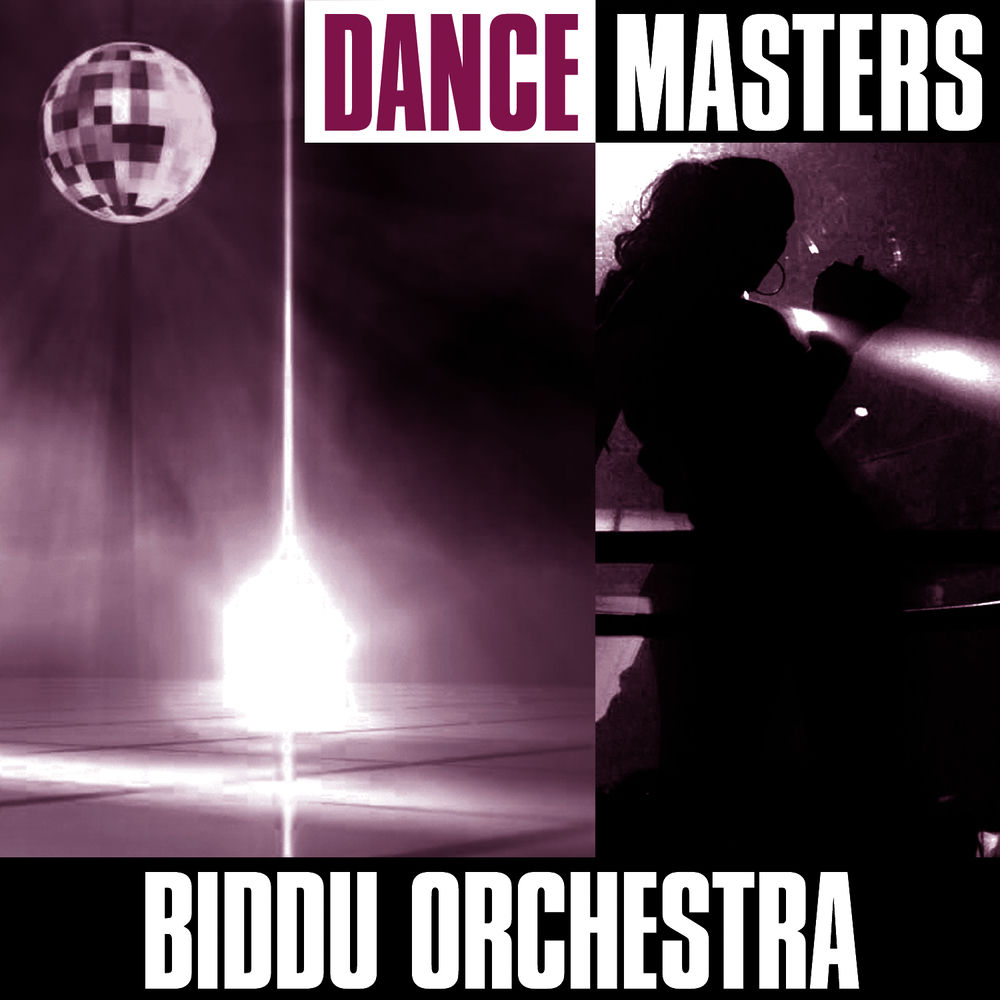 Summer Of 42 by Biddu Orchestra