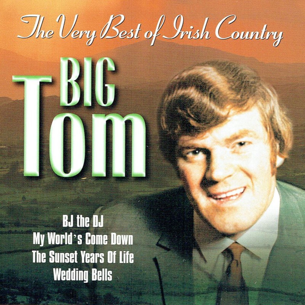 Old Rustic Bridge by Big Tom And The Mainliners