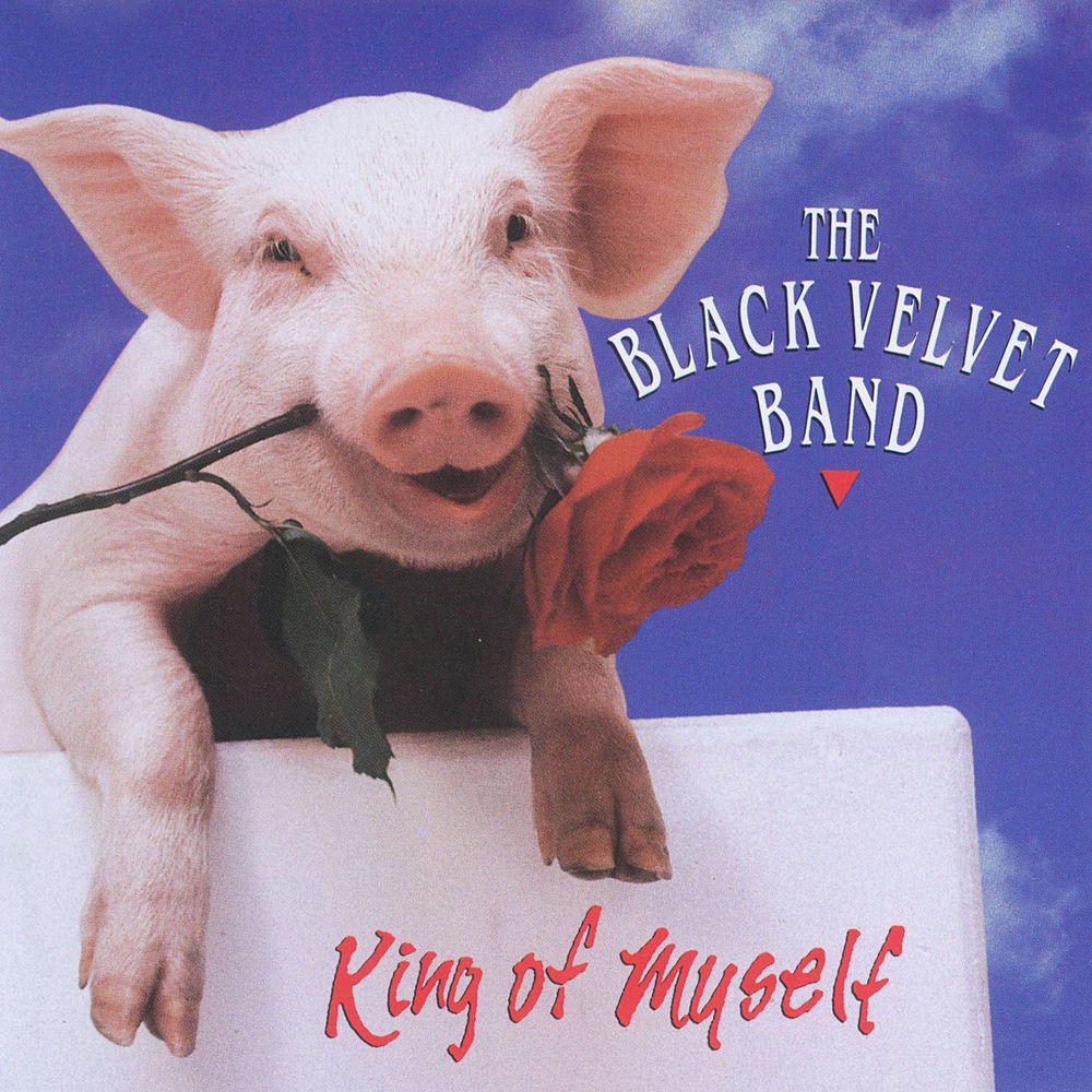 Rebel Radio Waltz by Black Velvet Band