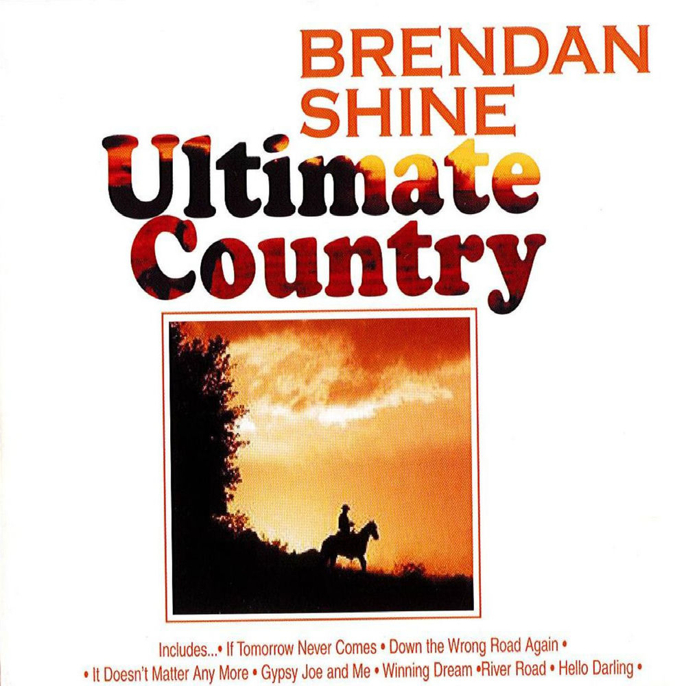 Some Broken Hearts Never Mend by Brendan Shine