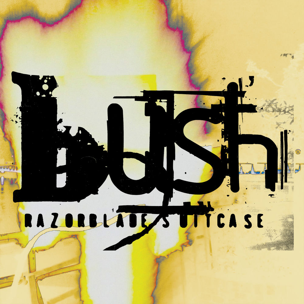 Swallowed by Bush
