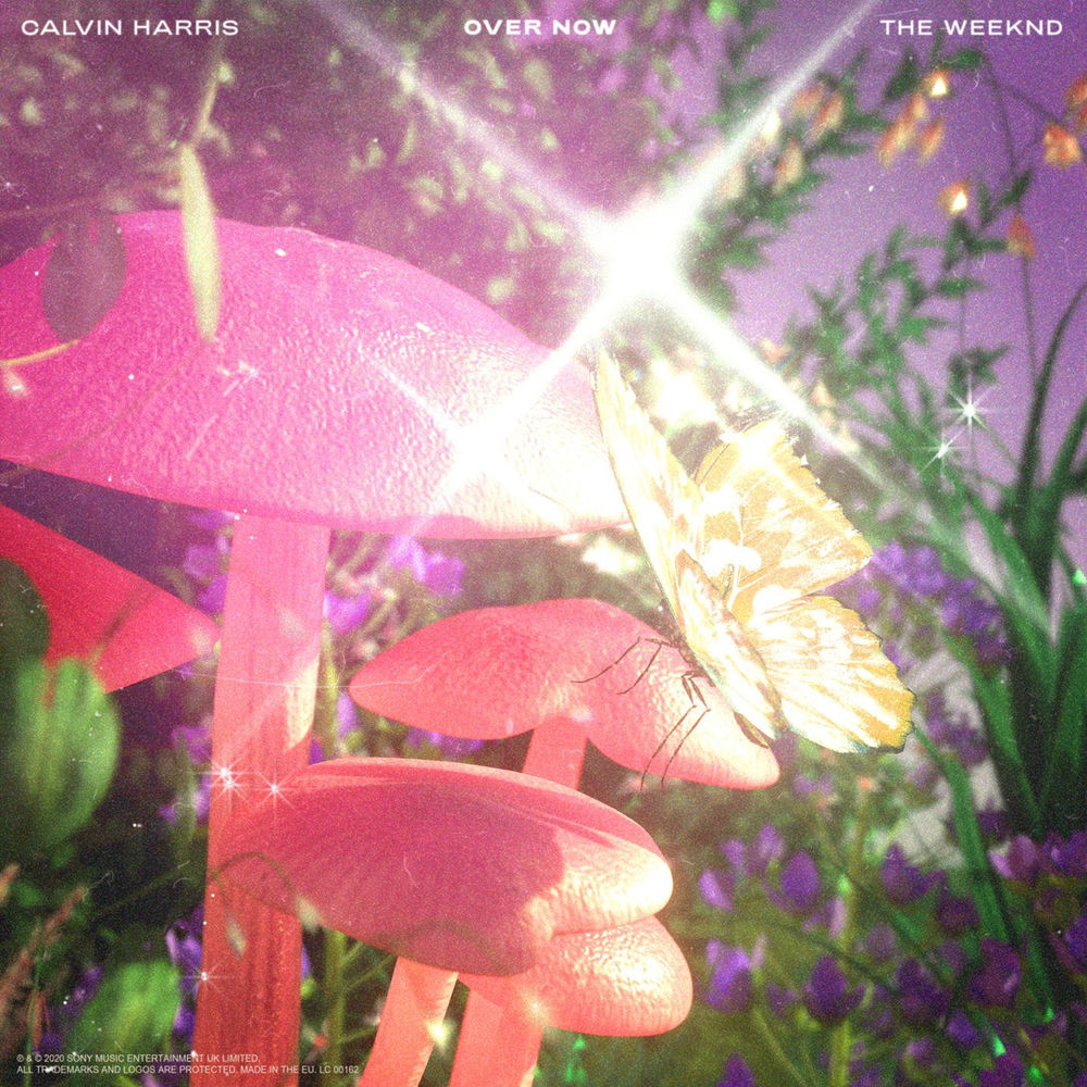 OVER NOW by CALVIN HARRIS & WEEKND