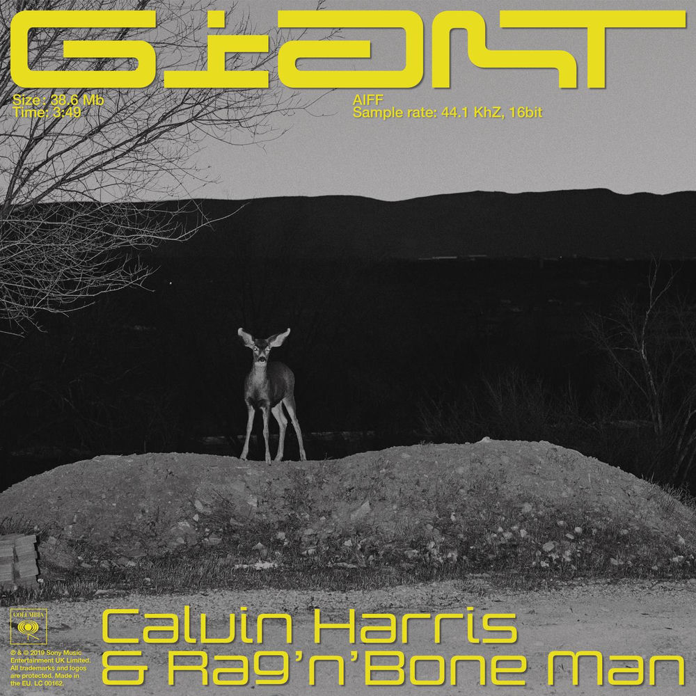 GIANT by Calvin Harris Rag'n'Bone Man
