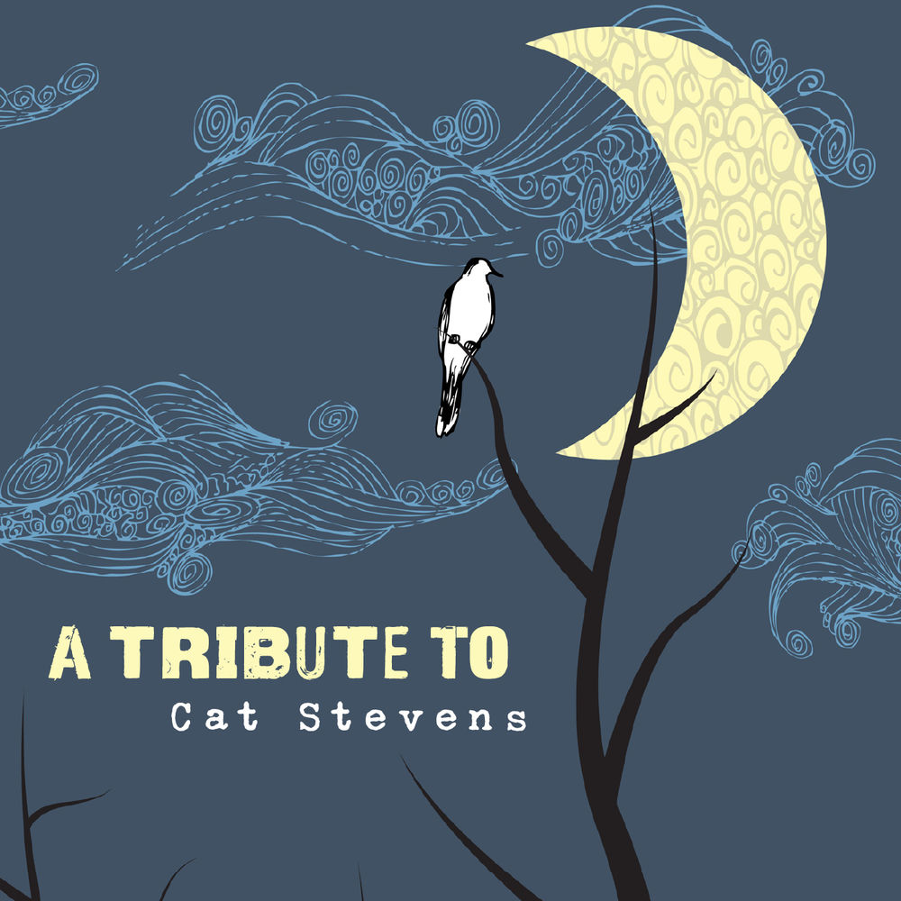 Can'T Keep It In by Cat Stevens