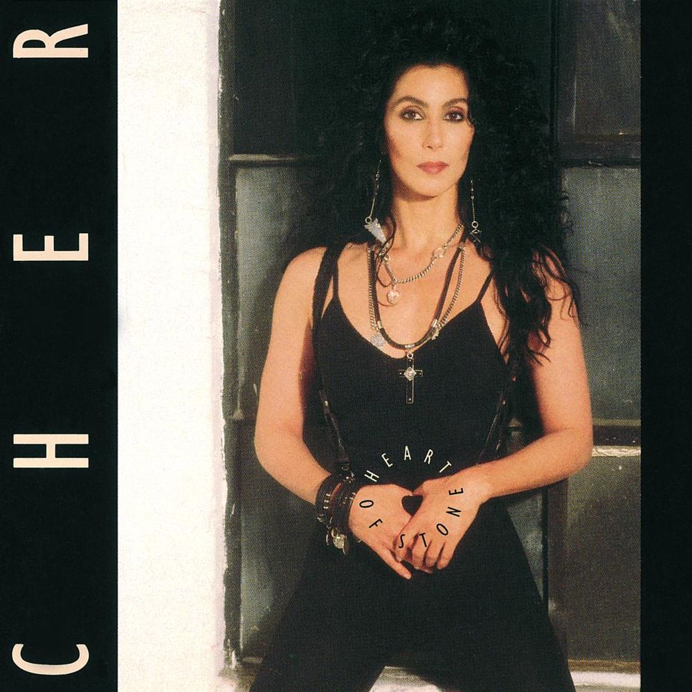 If I Could Turn Back Time by Cher