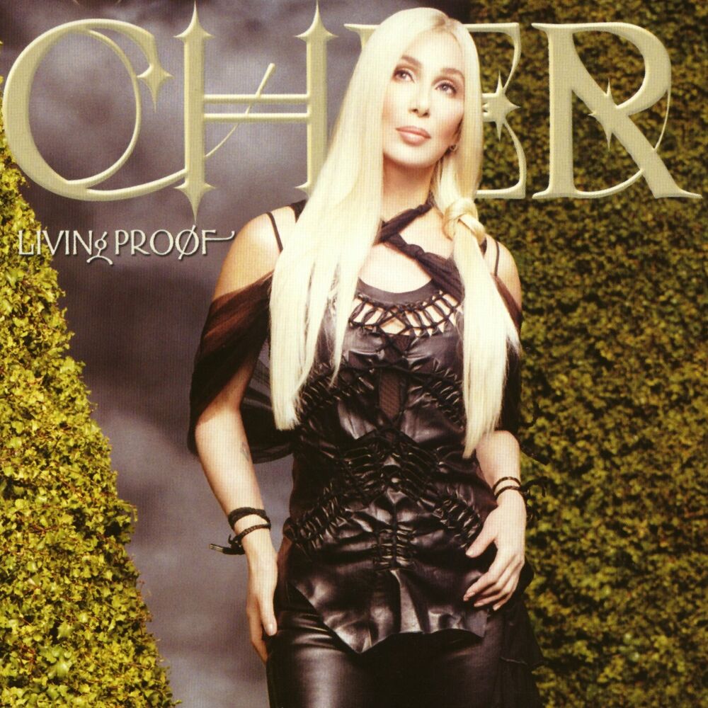 The Music'S No Good Without You by Cher