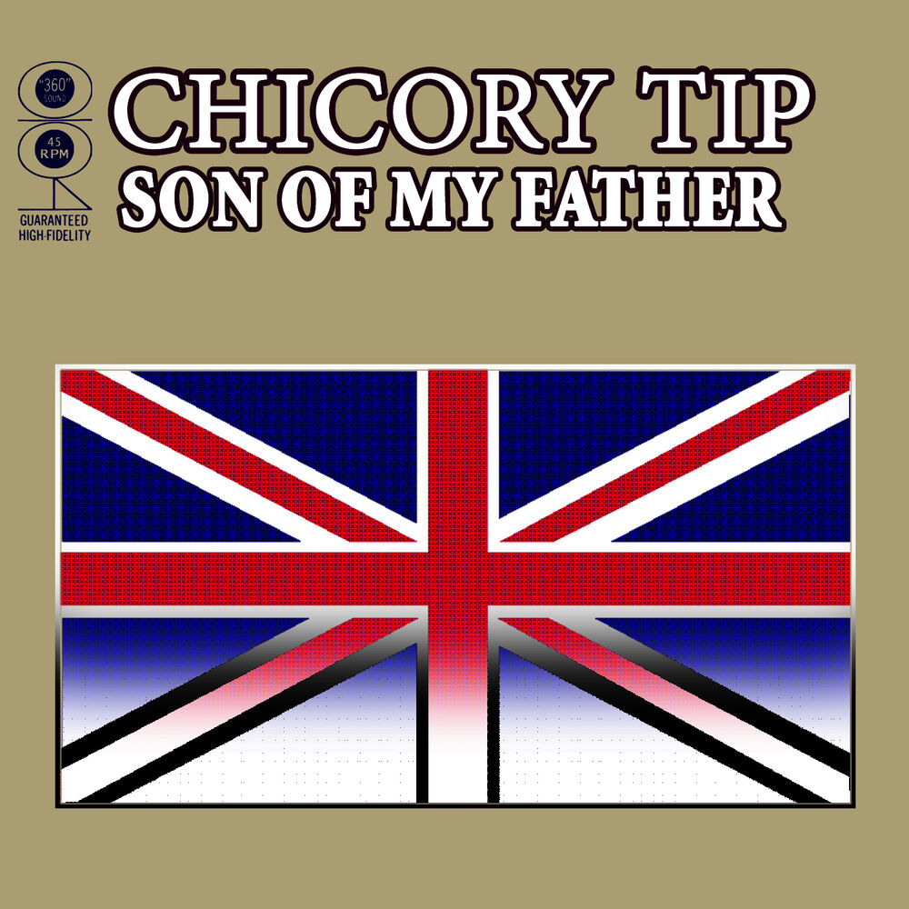 Son Of My Father by Chicory Tip