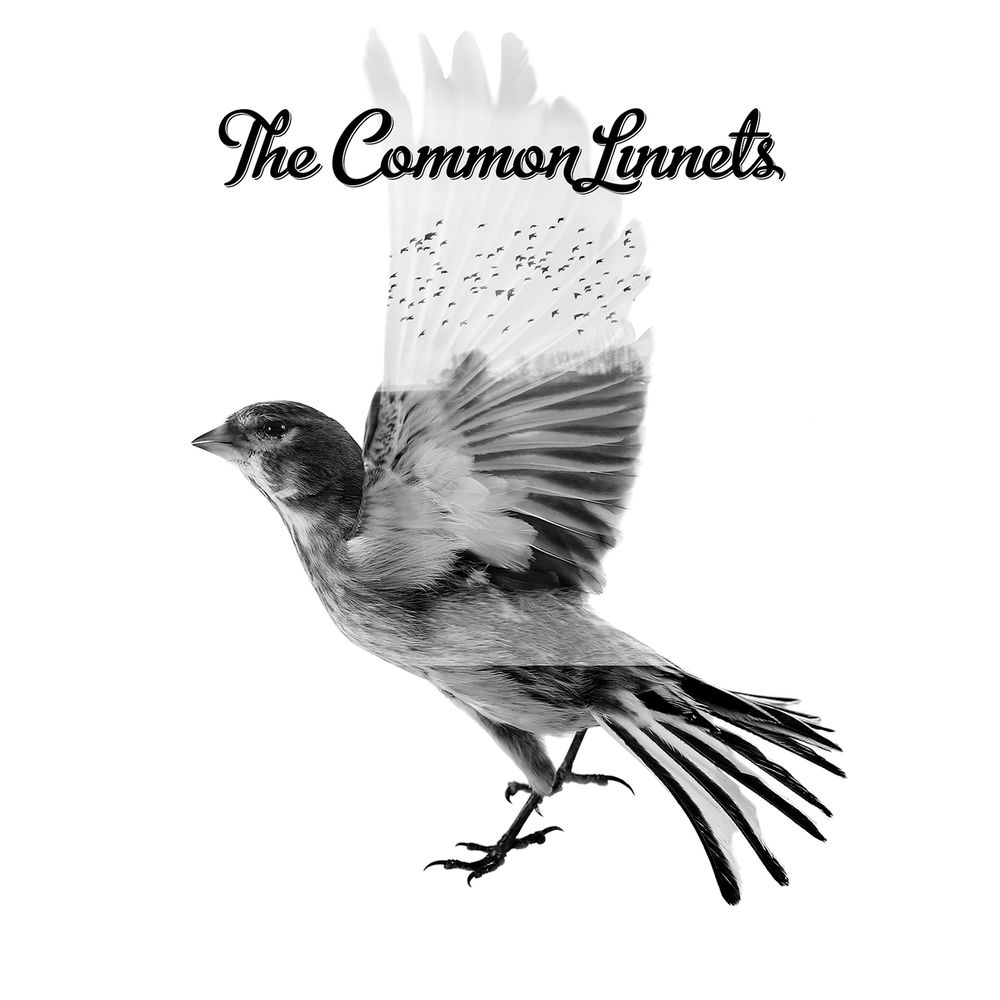 CALM AFTER THE STORM by Common Linnets