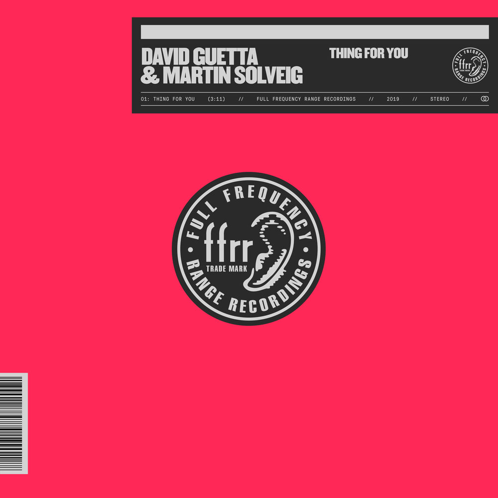 THING FOR YOU by DAVID GUETTA & MARTIN SOLVEIG