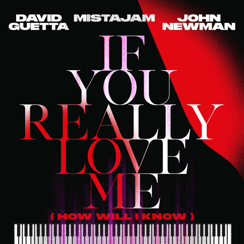 IF YOU REALLY LOVE ME (HOW WILL I KNOW) by DAVID GUETTA/MISTAJAM/NEWMAN