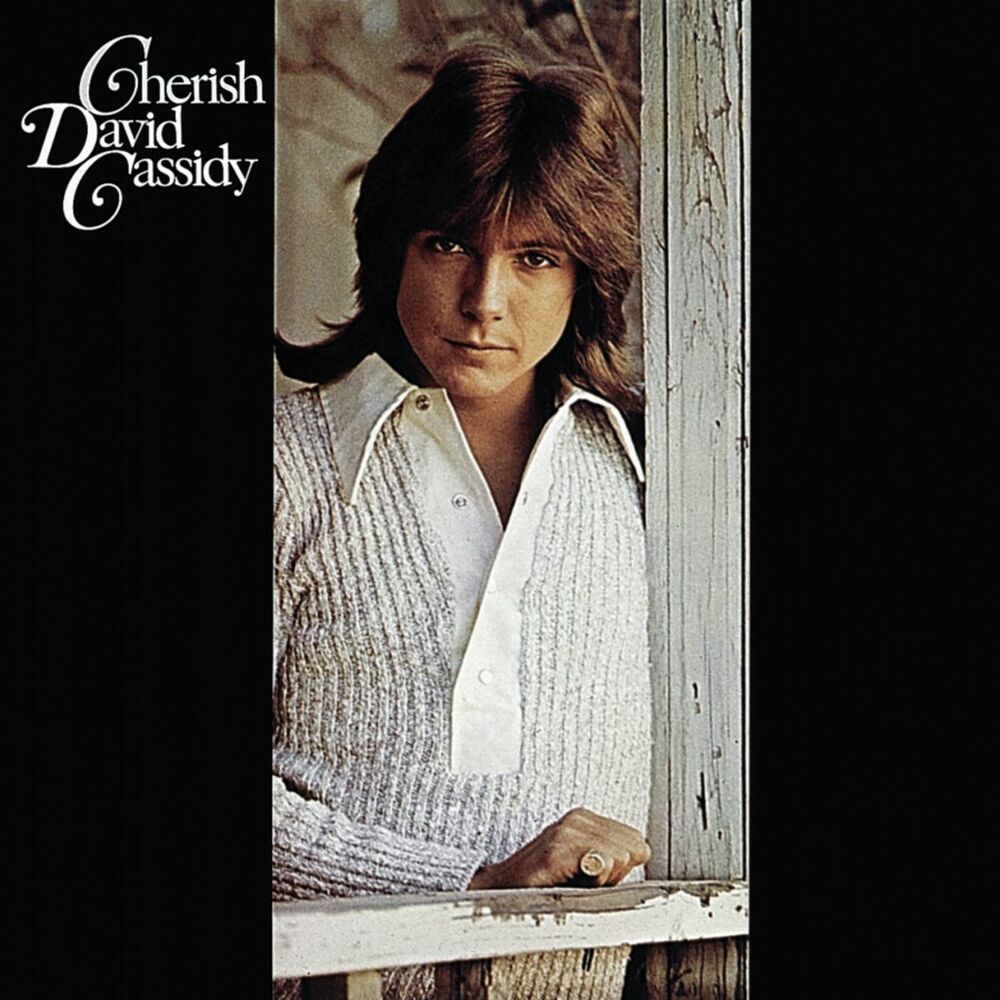 Could It Be Forever by David Cassidy