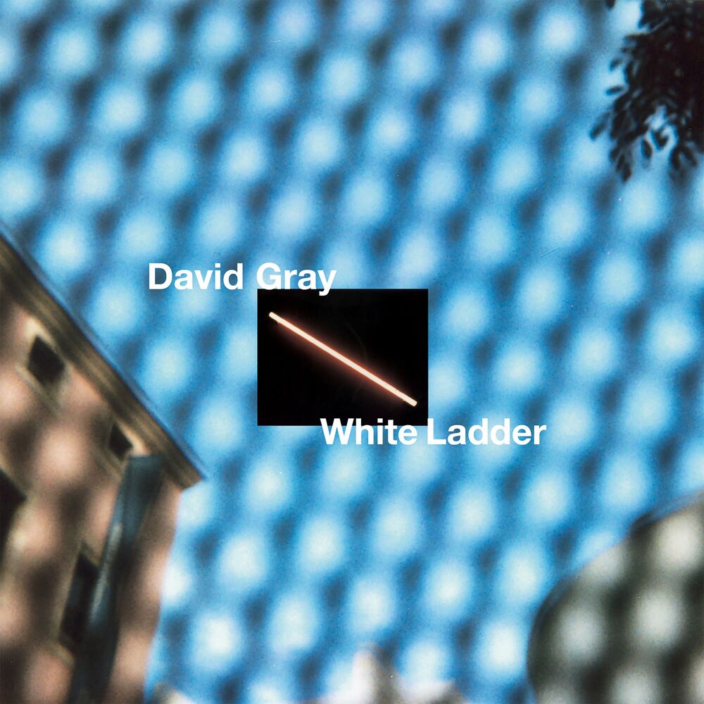 Please Forgive Me by David Gray